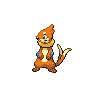  Buizel